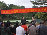 陆河县开展生猪养殖科技服务活动