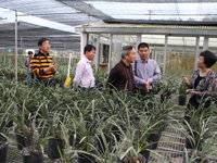 惠州市科协到梅州考察交流