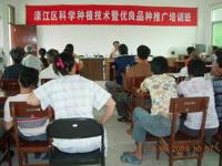 汕头市濠江区举办科学种植技术暨优良品种推广培训班
