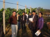 茂名市科协到化州调研科普惠农兴村工作