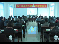 陆河县科协联合举办2015年粤东木薯栽培技术培训会