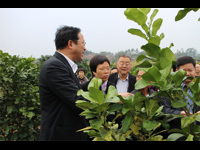 中国科协副主席陈章良率队到梅州调研农村科普工作