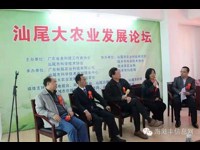 汕尾大农业发展论坛在陆丰举行