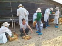 江门市畜牧兽医学会组织动物疫情监测强化动物疫情预警预报