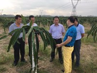 阳江市科协深入农村基层组织考察调研