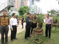 惠州市科协领导到惠阳区调研