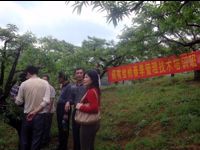 河源市连平县举办鹰嘴蜜桃春季管理技术培训班