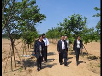 惠州市科协到龙门县开展调研活动