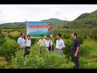 肇庆市科协到德庆县调研农业产业转型升级