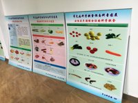 潮州市科协、湘桥区科协在南门社区开展健康养生科普宣传活动