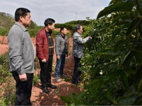 河源市和平县科协开展送技术进果场活动