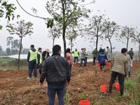 江门鹤山市古劳镇科协联合组织开展春季植树添绿科普志愿服务活动