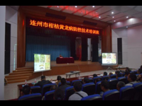 连州市科协举办柑桔黄龙病防控技术培训班