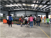 台山市高新竹艺示范基地举办乡村青少年富贵竹造型工艺比赛