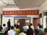 河源市科技咨询服务中心邀请专家赴梅花村开展花生种植技术培训