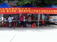 肇庆市德庆县乡镇(街道)科协开展科普活动
