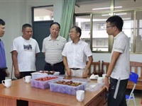 茂名市科协积极做好荔枝保鲜技术与企业对接服务