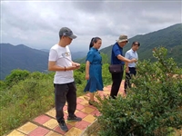 饶平县科协带专家深入茶园,拓展科技服务平台