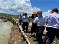 珠海市科协社会组织党委赴珠海斗门西滘村进行调研考察