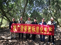 茂名市老科协指导菠萝蜜标准化生产