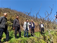 清远市连州市科协到星子广场科普长廊及潭岭村委会科普教育基地调研