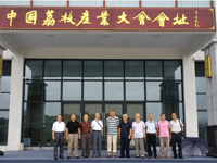 茂名市老科协深入高州根子镇调研荔枝产业发展情况