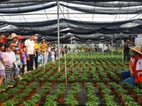 台山市科协开展“珍爱地球 人与自然和谐共生”绿植小盆栽科普大讲堂