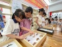 揭阳市举办“展示科技成果及科普知识,助力绿美普宁,推动揭阳高质量发展”科普活动