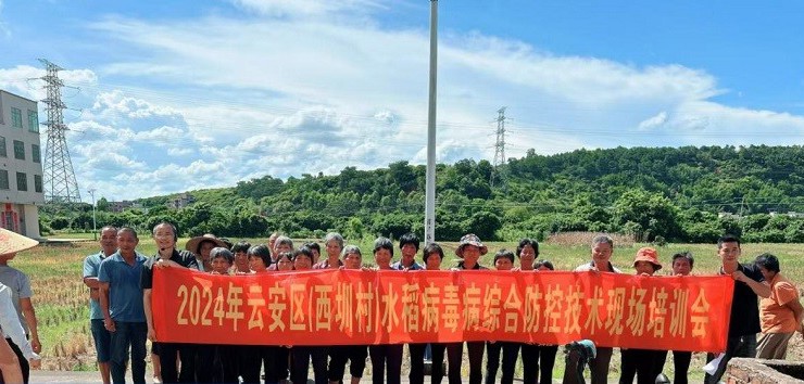 云浮:农业科技特派员为云安区白石镇西圳村农业发展注入新动力