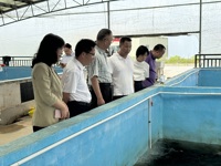 省科协组联部到阳江市开展“广东科技工作者乡村行”活动调研