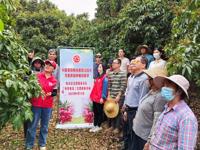 茂名市电白区科协举办科普荔枝病虫害防治技术志愿服务活动