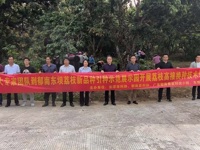 云浮市郁南县:建设荔枝新品种引种示范展示园,加快培育荔枝新质生产力