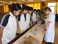 湛江雷州市科协联合举办“中医药文化”科普进校园活动