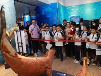 千名东莞莞城学生在科学馆奇妙夜“寻宝”