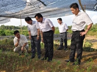 省科协到肇庆市怀集县调研必威体育平台工作