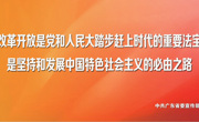 习近平总书记视察广东重要讲话精神宣传标语