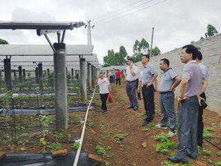 省科协赴对口帮扶点湛江市遂溪县岭北镇西塘村考察调研