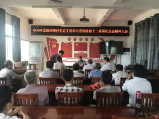 岭北镇西塘村党总支部召开学习贯彻省委十二届四次全会精神大会