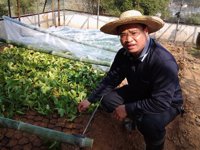 和平县积极做好明春百香果种植备苗工作