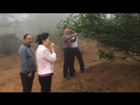 河源市科协到东源县上莞仙湖茶种植基地调研