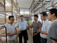 广州市科协开展科普工作调研