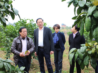 中国科协副主席陈章良率队到梅州调研农村科普工作