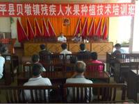 河源市和平县举办残疾人水果种植技术培训班