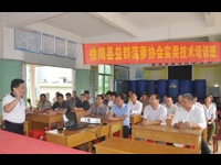 徐闻县菠萝、旱粮农民技术协会送科技下乡村