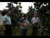 梅州市科协调研“基层科普行动计划”项目单位