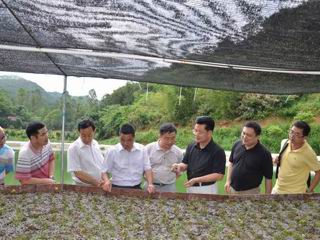 省科协组织专家到肇庆市开展中国科协年会“全国院士专家助粤产业行动”专项活动