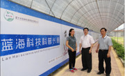 恩平市蓝海农业科技有限公司航天育种科普示范基地初显成效