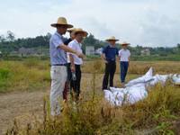 河源市紫金县农学会组织技术人员走村入户推广稻秆还田技术