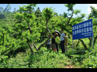 陆河县科协、县科技局组织科技服务队开展技术服务活动