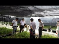 潮州市科协到饶平县广东光宇生物科技园调研